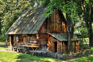 wooden house in woods